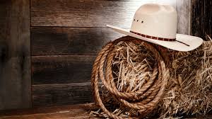 Image result for country