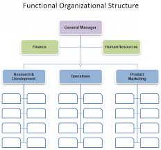 Download The Functional Organizational Structure Chart From