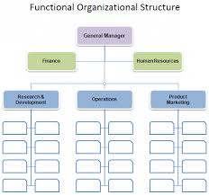 download the functional organizational structure chart from