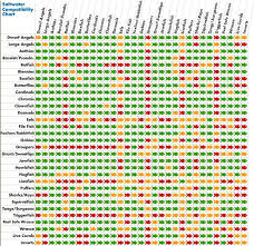 35 Matter Of Fact Reef Compatibility Chart