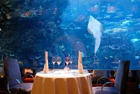 Get The List Of Dining Restaurants Filipino International Restaurants Indian Chinese Restaurants Mughl Underwater Hotel Dubai Underwater Hotel Water Hotel