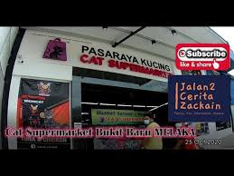 See reviews and photos of gift & speciality shops in melaka, malaysia on tripadvisor. Cat Supermarket Bukit Baru Melaka Youtube