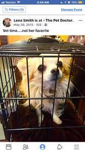Match made on care.com every 3 minutes, so find your perfect pet care provider today. Pet Doctor 14 Photos 49 Reviews Veterinarians 11419 Bridgeport Way Sw Lakewood Wa Phone Number