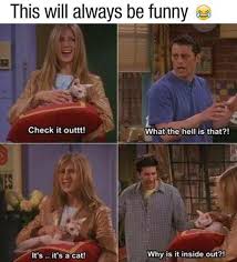 Pin By Tanmai Khare On Memes Friends Moments Friend Jokes Friends Tv