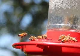 While you won't cause a great bee war, setting up fake hives will deter bees from using your pool area. 8 Genius Ways To Keep Bees Away From Your Hummingbird Feeders