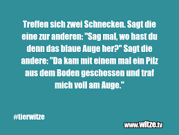 Hochzeitstag gefunden haben, haben wir noch einen tipp für sie. Am Hochzeitstag Gibt Der Vater Des Brautigams Lustige Witze Und Spruche Www Witze Tv
