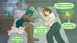 We dream every 90 minutes throughout the night, with each cycle of dreaming being longer than the previous. Dreams Interesting Facts About Dreaming