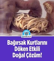 Vucuttaki Bagirsak Kurtlarini Doken En Etkili Dogal Cozum Dogal Tedavi Dogal Saglik Saglik Saglikli Yasam Tarzi