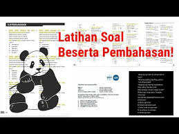 Kumpulan Latihan Soal Bahasa Panda Utbk 2020 Youtube