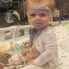 Fundraiser for Haley Howard by Luann Crawford : Help Sam and Haley pay for  living expenses.