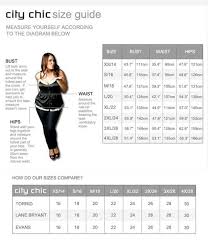 Zip Trim Legging City Chic Plus Size Leggings Elegant Fashion Outfits