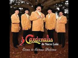 Cardenales Nuevo Leon Amor Anejo Cardenal Canciones Romantico