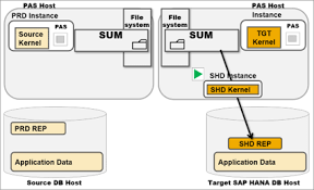 It contains the cluster requirements for a base aks deployment, and additional requirements for optional addons and features. Dmo With System Move With Shd Rep On Target Db Sap Blogs