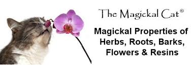 Herb Grimoire Magickal Correspondences Of Herbs Flowers