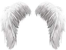 Download Free White Wings Png Angel Wings White Png Png Image With No Background Pngkey Com