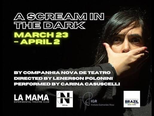 A SCREAM IN THE DARK (teaser)