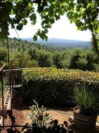 This is my backyard orchard plan. Backyard Orchards Mymotherlode Com