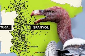 Amerika serikat memang memasang kilatan dari pancaran gedung pencakar langit yang berdiri tegak. Flora Fauna Archives Page 6 Of 81 Mongabay Co Id Mongabay Co Id