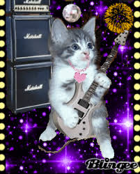 Geburtstagsbilder, geburtstagskarten und geburtstagswünsche für zu teilen. Kittens Music Niedliche Babykatzen Susse Katzen Bilder Baby Katzen