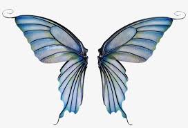 Fairy Wing Png Fairy Wings Transparent Background Free Transparent Png Download Pngkey It will be a very time consuming task.