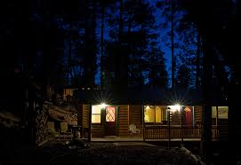 Check spelling or type a new query. Outdoor Lighting Options That Won T Attract Bugs Vulcan Termite Pest Control