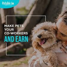 Be A Petstar Service Animal Pets Part Time Jobs