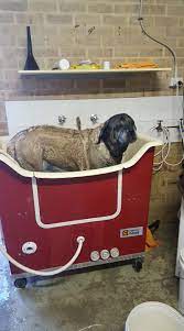 We did not find results for: Perfect Paws Hydrobaths Husdjurstillbehor South Murwillumbah Facebook 107 Foton