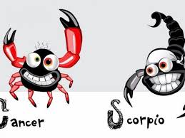 In fact, you guys will be unstoppable only if you choose to be together for a longer period. Cancer And Scorpio Is It A Bad Idea For These Signs Astronlogia