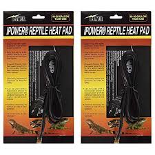 Ipower 2 Pack 6 X 8 Inch Reptile Heating Pad Terrarium Heater 8w Under Tank Heat Mat For Amphibians And Reptiles Pet In 2020 Reptile Heating Pad Heating Pad Reptiles