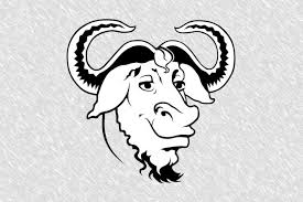Parte del Proyecto GNU se rebela contra Stallman con el apoyo de la FSF -  MuyLinux