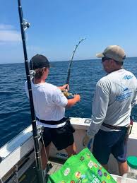 Image result for Rawsonia burtt-davyi