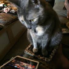 Adelaide aka Kookie listening to Pink Martini