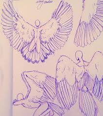 Uyia Uyia Syai On Instagram Wing Studies Wings Studies Im So Sorry For Not Posting Much Lately I Caught A Terrible Col Wings Drawing Wings Art Drawings