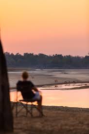 Image result for Aphanocalyx trapnellii