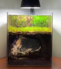 Build an aquascape aquarium based on some necessary accessories like a tank, hardscape you will learn a lot from your own mistakes, so do not be afraid to make them. How To Hardscape The Underground Cave Picked Up A 15g Column And Wanting To Do Something Similar I Live In Fl And Want To Do A Underground Spring Scape Aquascape