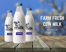 100 Pure Raw Farm Fresh Milk Doormilk In 2021 Milk Cow Farm Fresh Milk Cow