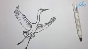 Burung lovebird dianggap unik dan memliki suara yang indah warnanya pun terbilang jarang dan sulit ditemukan. Cara Menggambar Burung Murai Batu Gacor By Adi Tri