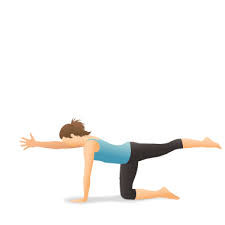 Yoga Pose Balancing The Cat Yoga Poses Yoga For Flexibility Yoga Pictures
