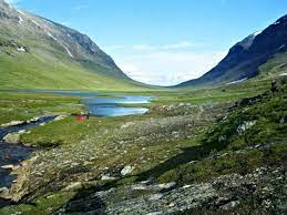 Ammarnäs trout is a completely unique strain of large brown trout. Ammarnas Hemavan Langs Kungsleden I Vindelfjallen Utisyd Utflykter I Skane