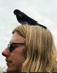 Ed. 2: The original post I had shared was removed. Edit: The image in this  post, originally posted in the group Sanctuary Nature Foundation, will be  deleted soon for not attributing the