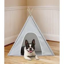 Has kennel cough, mucus in lungs, recently congenital eye defect. 11 Doggo Ideas Doggo Modern Dog Pet Sofa Bed