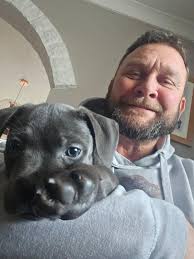 Any advice for treating chronic dog skin issues?