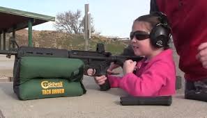 Can a felon have gun ownership rights restored? Florida Gun Laws Pew Pew Tactical