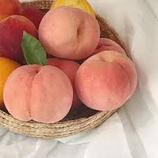 Agloethetown Aesthetic Food Peach Peach Aesthetic
