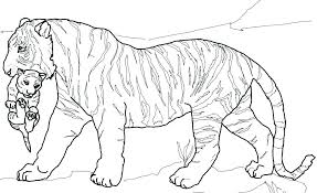 For boys and girls, kids and adults, teenagers and toddlers, preschoolers and older kids at school. Tiger Cub Baby Tiger Coloring Pages Novocom Top