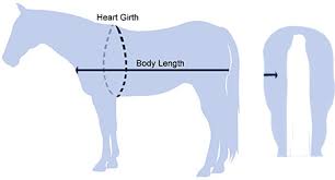 Horse Weight Calculator Smartpak Equine Health Library