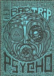 Image result for bad trip libro copertine gianluca lerici