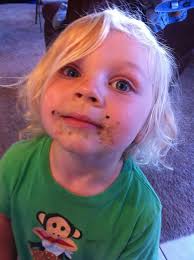 They ______ (eat) all the cookies.