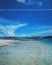 Pilih versi vsco pro yang anda butuhkan, kemudian klik tombol download warna biru. Eatandtreats Indonesian Food And Travel Blogger Based In Jakarta Disposable Camera Tutorial Apps To Dispose Your Photos Free Lightroom Preset