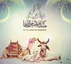 Pin On Eid Ul Adha